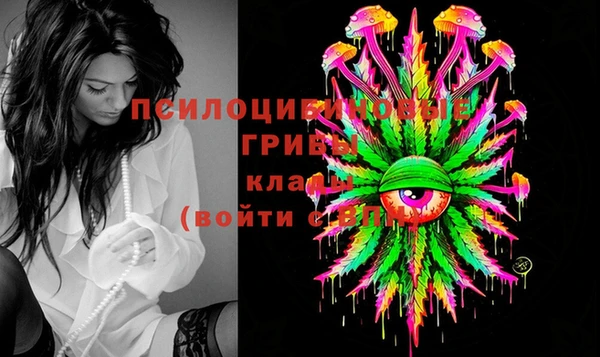 гидропоника Пестово