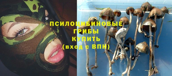 ПСИЛОЦИБИНОВЫЕ ГРИБЫ Верхнеуральск