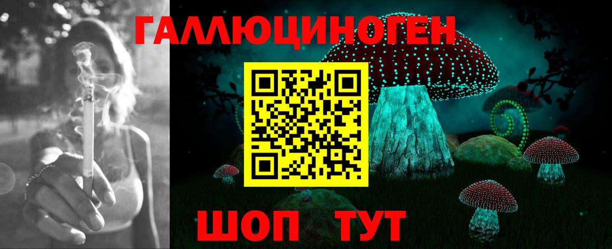 Галлюциногенные грибы Cubensis  Заинск  Псилоцибиновые грибы MAGIC MUSHROOMS 