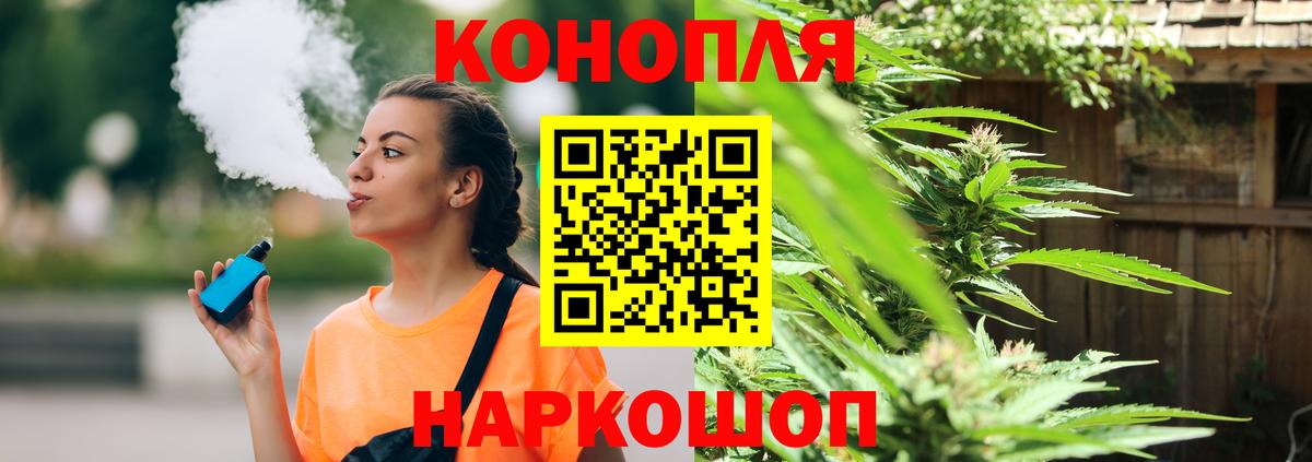 Конопля план  Вход с VPN  Заинск  Конопля ГИДРОПОН  Шишки марихуана сатива 